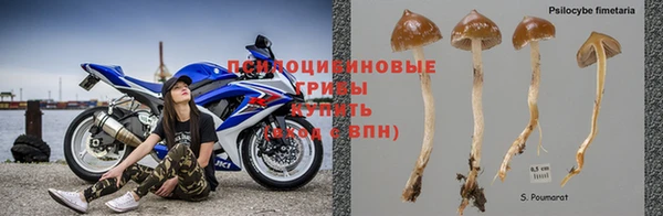 метадон Майский