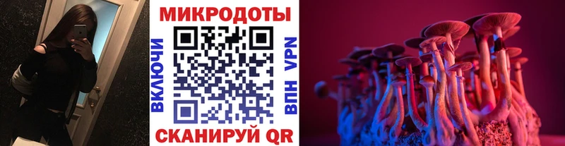 Псилоцибиновые грибы GOLDEN TEACHER  Купить закладки  Лесозаводск 